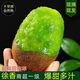 陜西省眉縣獼猴桃 9斤徐香｜大果單果重量90-100g