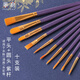 番易水粉筆C1ZO-尼龍筆刷丙烯初學(xué)繪畫(huà)毛筆工具水粉畫(huà)筆套裝水彩排筆美術(shù)生專(zhuān)用 【進(jìn)階級】紫色尼龍畫(huà)筆10支裝