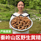 尋秦嶺秦嶺純正野生黃精中藥材精選無硫雞頭黃精天然野生黃精干貨泡酒 野生黃精500克