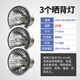 龜友天下烏龜曬背燈太陽燈龜燈泡爬寵取暖uvb加熱燈陶瓷燈恒溫寵物雞保溫 曬背燈【25W】x3個