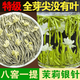 貢茶澗茶葉2025新茶茉莉花茶茉莉銀針特級全芽茶葉禮盒禮品濃香耐泡 【口碑力薦】茉莉銀針 250克