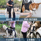 狗狗輔助帶大型犬輔助背帶老年犬殘疾犬康復(fù)鍛煉狗輔助行走帶 黑色 XL（推薦56-75斤）