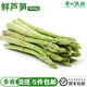 蘆筍蔬菜新鮮去白根龍須菜蔬菜1斤裝農家山東綠蘆筍 500g