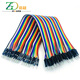 資冠 40P銅芯杜邦線彩色排線連接線工業(yè)PCB跳線 公對(duì)公 20CM