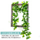 清雅仿真藤條綠蘿葉裝飾假花樹(shù)葉綠藤塑料花藤水管道遮擋空調綠葉藤蔓 135葉過(guò)膠爬山虎2條