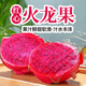 紅心火龍果金都一號(hào)當(dāng)季新鮮應(yīng)季水果整箱火龍果3/5大果海南特產(chǎn) 小果200g左右 5斤