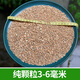 天然河沙河砂沙子養花用種植種花用實(shí)驗用粗沙細沙黃沙通用營(yíng)養土 純顆粒粗沙3-6MM5斤