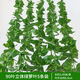 八千城仿真綠植藤條葡萄葉水管道裝飾塑料假花葡萄藤蔓物葉子吊頂裝飾 90葉立體綠蘿葉-5條裝