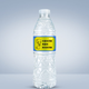 普利思普利思飲用純凈水 濟南泉城泉水 500ml*24瓶 500mL 24瓶 1箱