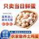 對(duì)面小城新鮮初生土雞蛋鮮雞蛋農(nóng)家散養(yǎng)柴雞蛋 20枚800g