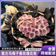 依醉美高級感禮物烏梅子醬曼塔玫瑰花束鮮花速遞同城生日花店配女友 【昭昭星野】33朵烏梅子醬玫瑰花束
