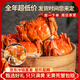 【活蟹】蘇逸閣大閘蟹鮮活螃蟹生鮮特大公母蟹去繩凈重 網(wǎng)兜蟹全母2斤13-16只