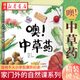 噢!中草藥 家門外的自然課系列 專為兒童打造的中醫(yī)藥科普圖畫書3-6-9歲兒童幼兒園一二年級科普繪本湖北新華書店正版圖書