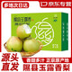 正宗隰縣玉露香梨禮盒裝山西特產(chǎn)隰縣香梨 凈重8.5斤大果【單果75mm+】