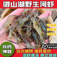 漁水依微山湖清水小河蝦鮮活淡水草蝦活蝦冰凍新鮮大號青蝦魚(yú)食速凍土蝦 小號河蝦500g（2-4cm）