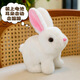 威爾通（WELTSTON）毛絨公仔跳舞布娃娃玩偶玩具兒童生日女情人節禮物電動(dòng)寵物小白兔
