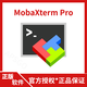 官方授權正版 MobaXterm Pro 專(zhuān)業(yè)版 SSH 終端管理工具軟件 專(zhuān)業(yè)版-1用戶(hù)