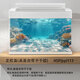 和上品3d高清陽(yáng)光海底魚(yú)缸背景貼紙5d定制裝飾壁紙水族箱不透光正面粘貼 HSP(YGPP)113 海疧羙憬寬40cm*高30cm
