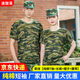 迪伽洛純棉t恤軍訓(xùn)迷彩服全套男女大學(xué)生夏季薄款訓(xùn)練服初高中短袖套裝 草綠【純棉T恤+長褲+帽+腰】 165(適合身高160-165CM)