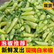 辰實(shí) 【現(xiàn)貨】新鮮小米辣 野山椒 白辣椒 白小米白米椒做泡椒 3斤