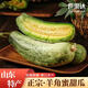 世果達山東羊角蜜甜瓜當季頭茬酥脆香瓜錦玉博洋61號新鮮水果整箱 羊角蜜3斤裝