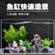 二月花魚缸造景套餐一整套裝飾品擺件仿真水草全套景觀假山小缸造型內(nèi)飾 25-F08套餐 適合長25/30cm的魚缸 不包含魚缸