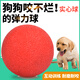 養只寵物狗狗玩具球幼犬實(shí)心球大型犬馬犬磨牙彈力球寵物狗訓練 普通款實(shí)心球中號約5.8CM 無(wú)規格