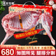 潮羊牧歌 寧夏灘羊肉 生鮮禮盒新鮮現(xiàn)宰半只羊 羊腿羊排羊蝎子火鍋食材 【國潮禮盒】分割半只羊20斤