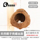 高能鸚鵡虎皮鸚鵡椰子殼鳥窩鸚鵡窩鳥巢窩鸚鵡繁殖箱珍珠椰殼鳥窩戶外草窩 【未打磨】特大號16以上螺絲款