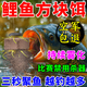 老偏方鯉魚(yú)方塊餌料釣鯉魚(yú)鯽魚(yú)爆炸鉤專(zhuān)用掛餌薯香甜味腥香打窩料通殺 單包裝【內含16塊】薯香