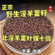 旺園興禾之潤淫羊藿籽  淫羊藿種子 中藥材淫羊藿籽 泡茶泡酒入藥 淫羊藿籽250克