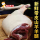 靈澈新鮮羊肉去骨羊腿肉原切帶皮羊肉剔骨正宗散養(yǎng)山羊燒烤食材火鍋清 4斤(帶皮羊腿肉) 原切羊腿肉(默認切塊)