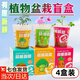 賈恩斯兒童植物種植盆栽盲盒小學(xué)生畢業(yè)季禮物勵志獎勵幼兒園開(kāi)學(xué)小禮品 4盒 隨機種植盆栽盲盒