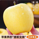 正宗新鮮現(xiàn)摘維納斯黃金蘋果禮盒脆甜黃胖子當(dāng)季整箱冰糖禮盒 2500g[精選普通裝]