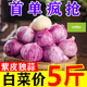 【特價(jià)】2024年云南紫皮獨(dú)頭蒜新鮮大蒜頭批發(fā)現(xiàn)挖新蒜頭紅皮獨(dú)蒜 新蒜:[珍珠果]2.0cm以下 1kg 188克
