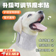 曇蓓漫寵物脖圈防舔頭套術(shù)后透氣狗狗護頸脖子受傷項圈貓咪伊麗莎白圈 灰色【S脖圍21-26深度8cm】 【升級可調(diào)節(jié)魔術(shù)貼】