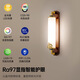 博艾特新中式壁燈全銅實木高端大氣客廳電視沙發(fā)背景墻護眼燈具臥室床頭 迎客松-大號--60厘米