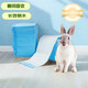 喜帥 寵物尿墊兔子龍貓豚鼠尿片尿墊小動物吸水兔籠用品S號100片/袋