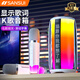 山水（SANSUI）V5Plus話筒音響一體麥克風(fēng)全民K歌藍(lán)牙音箱顯示歌詞兒童拉卡ok家庭ktv套裝 雙話筒【白色】
