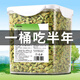 瘋狂的主人貓薄荷餅干1000克幼貓零食貓草粒磨牙棒貓咪磨牙潔齒營養(yǎng)增肥化毛