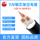 國超電纜 YJV-0.6/1KV-3*10銅芯國標(biāo)戶外防老化新能源汽車充電樁電力電纜1米【現(xiàn)貨】