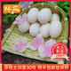 林嵐（LINLAN） 當天鮮鴿子蛋30枚 新鮮雜糧白鴿蛋 農家散養鮮鴿蛋鴿蛋新鮮鴿蛋 一箱30枚（凈重600g）