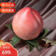 銅師傅 銅壽桃福壽延年聚福多壽賀壽祝壽蟠桃藝術(shù)品爺爺奶奶生日禮物