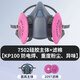 松工 電焊防塵面具 防工業(yè)粉塵刷噴漆面罩 防工業(yè)毒氣污染電焊口罩面罩過濾器 呼吸道保護 7502主體+1包2907