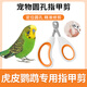 春上村下虎皮鸚鵡專用指甲剪套裝指甲剪指甲刀修剪指甲鉗磨甲器小寵用品 寵物指甲剪配銼刀【配銼刀】
