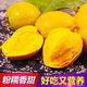 格沃斯（GEWOSI）海南蛋黃果當季熱帶水果新鮮應季整箱批發(fā)雞蛋果特產(chǎn)熟果 蛋黃果1斤裝 約4-6個(gè)/斤超值中果