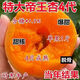 嫁接特大帝王杏子樹(shù)苗大果盆栽地栽耐寒耐旱南方北方種植果樹(shù)苗 4代帝王杏【抗寒】 5年苗【結果苗】好成活