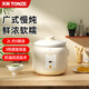 天際（TONZE）大容量電燉鍋 電燉盅 家用大升數煲湯鍋 燉湯滋補養生鍋 煮粥神器 陶瓷內膽電煮鍋 智能預約鮮快燉 2升 .約5碗 廣式文火精燉 2L
