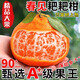 四川春見耙耙柑現(xiàn)摘新鮮粑粑柑橘子當(dāng)季整箱大果新鮮水果丑桔桔子 精選大果【5斤裝】