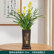 芙洛拉花園【兩小時(shí)達(dá)】蘭花盆栽花卉帶花苞名貴春蘭香蘭墨蘭開(kāi)業(yè)喬遷送禮 黃綠色蘭花-綠翡翠【青竹花盆】